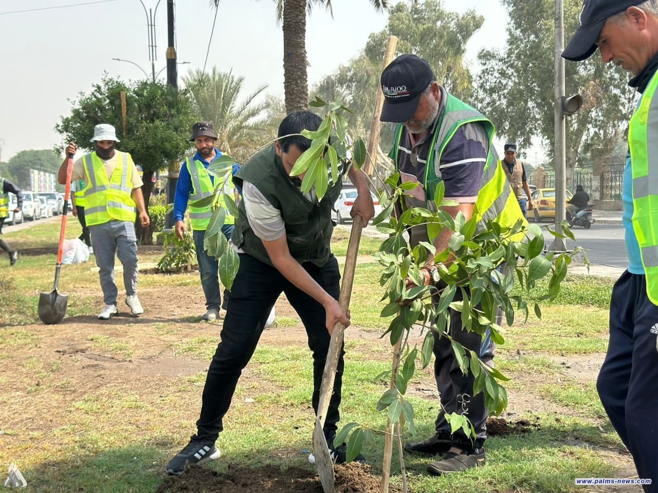 أمانة بغداد تعلن عن حملة تشجير وتحدّد نسبة إنجاز الحزام الأخضر
